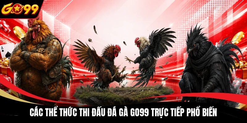 Các thể thức thi đấu đá gà GO99 trực tiếp phổ biến