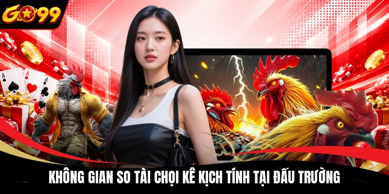 Không gian so tài chọi kê kịch tính tại đấu trường