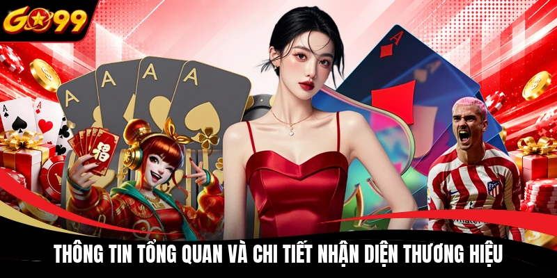 Thông tin tổng quan và chi tiết nhận diện thương hiệu